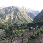 Photo taken by Neil C