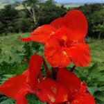 Photo taken by Mordechay T