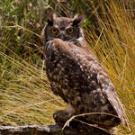 Photo taken by Sabine V