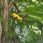 Photo taken by Darla D