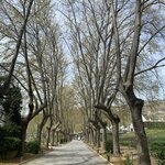 Photo taken by Jane A