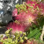 Photo taken by Doug A