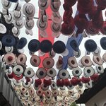 Photo taken by James B