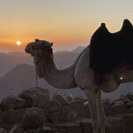 Photo taken by Maryann S