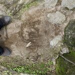 Photo taken by Jaybelyn C