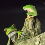 Photo taken by Lee B