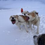 Photo taken by Debbie C