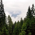 Photo taken by Kim R