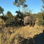 Photo taken by Chris K