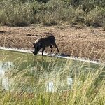 Photo taken by Michael L