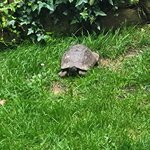 Photo taken by Gretchen C