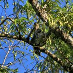 Photo taken by Peter F