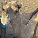 Photo taken by Cheryl L