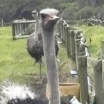 Photo taken by Paul B