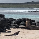 Photo taken by Jennifer A