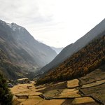 Photo taken by Tyler W