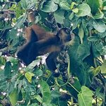 Photo taken by Kim L