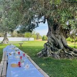 Photo taken by Susan W