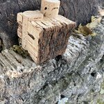 Photo taken by Michele R