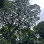 Photo taken by Alexia M