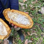 Photo taken by Nicole S