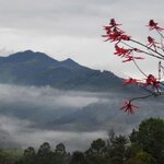 Photo taken by Brett F