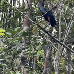 Photo taken by Kara H