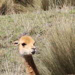 Photo taken by Debby D