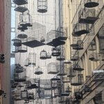 Photo taken by Judy H