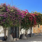 Photo taken by Deirdre H