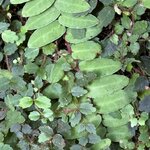 Photo taken by Carrie N