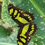 Photo taken by Tenley G