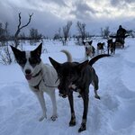 Photo taken by Nikki S