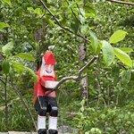 Photo taken by Susan K