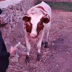 Photo taken by Patricia K