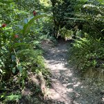 Photo taken by Les A