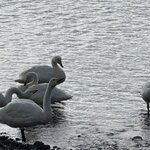 Photo taken by Jake B