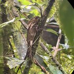 Photo taken by Chris G