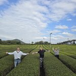 Photo taken by Mark C