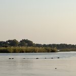 Photo taken by Brad P