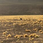 Photo taken by lynn o