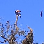 Photo taken by Kakoli K