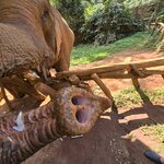 Photo taken by Audrea H