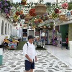 Photo taken by Nader V