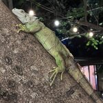 Photo taken by Mandy F