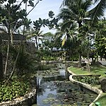 Photo taken by Cynthia C