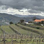 Photo taken by Ashley B