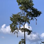 Photo taken by Nicole G