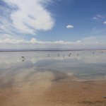 Salt flats, Atacama  | Photo taken by Sheila S
