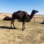 Photo taken by Heather H